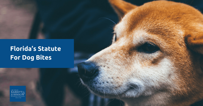 Florida’s Statute For Dog Bite Injuries
